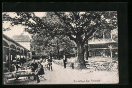 AK Arnstadt, Eremitage Mit Park  - Arnstadt