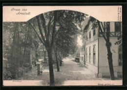 AK Arnstadt, Eremitage Mit Bäumen Und Park  - Arnstadt