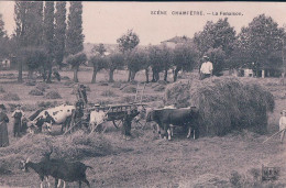 France, Types Et Scènes Champêtres, La Fenaison, Attelages De Boeufs, Récolte Du Foin (1.6.1908) - Equipos