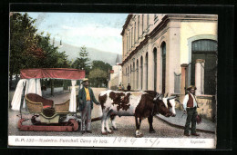 AK Madeira, Funchal, Carro De Bois  - Madeira