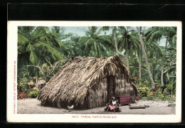 AK Puerto Rico, Typical Puerto Rican Hut  - Altri & Non Classificati