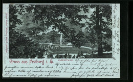Mondschein-Lithographie Freiberg I. S., Albertpark Mit Springbrunnen  - Freiberg (Sachsen)