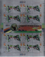 China  2002-11 Soccer FIFA World Cup Japan Korea  Full Sheet（foil And  Tooth Is Printed） - Unused Stamps