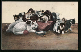 AK Katzenmutter Und Kätzchenschar Mit Kissen Und Milchschale  - Gatos