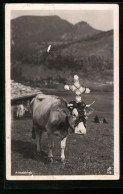 AK Kuh Mit Blumenkreuz-Schmuck Beim Almabtrieb  - Koeien