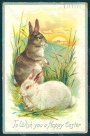 Greetings Easter Rabbit Raphael Tuck 705 Relief Postcard HR0034 - Otros & Sin Clasificación