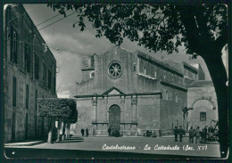 Trapani Castelvetrano Cattedrale FORI Foto FG Cartolina MZ4942 - Trapani