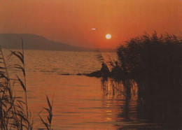 103282 - Ungarn - Balaton, Plattensee - 1981 - Hongrie