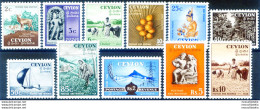 Definitiva. Pittorica 1954. - Sri Lanka (Ceylan) (1948-...)