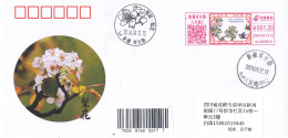 China 2024 The Pear Blossom Entired  Commemorative Cover - Omslagen