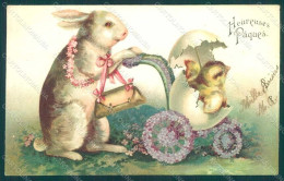 Greetings Easter Anthropomorphic Dressed Rabbit Chick Egg Violets Pc HR0123 - Other & Unclassified