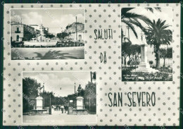 Foggia San Severo Saluti Da Foto FG Cartolina ZK5902 - Foggia