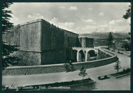 L'Aquila Città Viale Circonvallazione Castello Foto FG Cartolina MZ4966 - L'Aquila