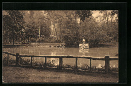 AK Nordhausen, Am Ufer Des Teichs Im Stadtpark  - Nordhausen