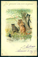 Artist Signed Wain L. Anthropomorphic Cat Tuck 332 Postcard HR1020 - Autres & Non Classés