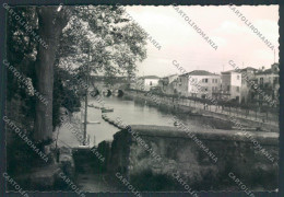 Verona Peschiera Garda Foto FG Cartolina ZF1417 - Verona