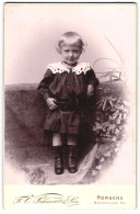 Fotografie F. V. Schmidt & Són, Horsens, Norregade 53, Kleines Kind Im Hübschen Kleid  - Personnes Anonymes