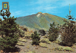 ES ISLAS CANARIAS SANTA CRUZ DE TENERIFE - Otros & Sin Clasificación