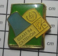 1618A  Pin's Pins / Beau Et Rare / VILLES / CENTRALE NUCLEAIRE CATTENOM OSART 94 - Steden