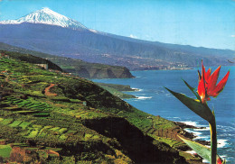 TENERIFE - Tenerife