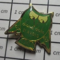 1618A  Pin's Pins : Rare Et Belle Qualité : ANIAMUX / CHOUETTE HIBOU OISEAU VERT DIANE DALIS ST AVOLD - Animals