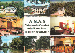 37 GENILLE CHÂTEAU DU COURBAT - Genillé