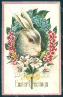 Greetings Easter Hare Rabbit Myosotis Flowers Serie 414c Relief Postcard HR0019 - Sonstige & Ohne Zuordnung