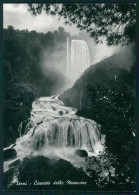 Terni Città Cascata Delle Marmore Foto FG Cartolina MZ5017 - Terni