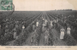 37-VOUVRAY-N°LP5042-A/0067 - Vouvray