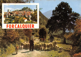 04-FORCALQUIER-N°3715-B/0265 - Forcalquier