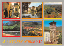 82-SAINT ANTONIN NOBLE VAL-N°3717-A/0215 - Saint Antonin Noble Val