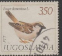 1982 YUGOSLAVIA USED STAMP ON BIRDS/Passe Rdomesticus -Sparrows - Sparrows