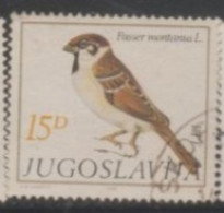 1982 YUGOSLAVIA USED STAMP ON BIRDS/Passer Montanus -Sparrows - Moineaux