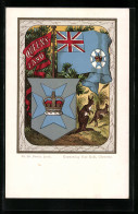 Lithographie Wappen & Flagge Von Queens-Land  - Genealogy