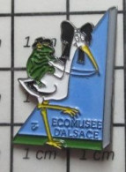 713c Pin's Pins / Beau Et Rare / ANIMAUX / GRENOUILLE ET CIGOGNE ECOMUSEE D'ALSACE - Animali
