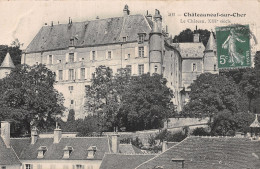 18-CHATEAUNEUF SUR CHER-N°LP5044-D/0043 - Chateauneuf Sur Cher