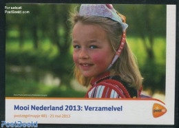 Netherlands 2013 Beautiful Netherlands, Presentation Pack 481, Mint NH, Various - Costumes - Unused Stamps