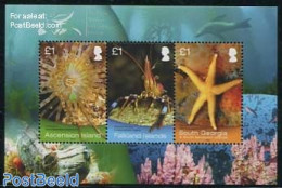 South Georgia / Falklands Dep. 2013 Marine Life S/s, Mint NH, Nature - Various - Shells & Crustaceans - Joint Issues - Marine Life