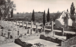 84-VAISON LA ROMAINE-N°T5046-C/0333 - Vaison La Romaine