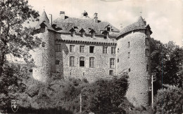 81-CORDES LE CHATEAU-N°T5048-C/0265 - Cordes