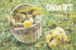 Basket With Mushrooms, Mushrooms,  Ukraine, 1988 - Tamaño Pequeño : 1981-90