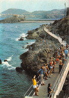 66-COLLIOURE-N°3728-B/0281 - Collioure