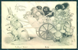 Greetings Easter Anthropomorphic Rabbit Chick Postcard HR0120 - Sonstige & Ohne Zuordnung