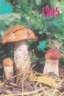 Leccinum, Mushroom, Ukraine, 1985 - Tamaño Pequeño : 1981-90