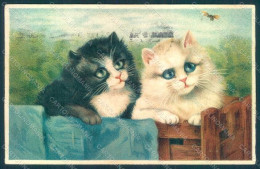 Animals Cat Bee Relief Postcard HR0385 - Sonstige & Ohne Zuordnung