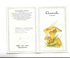 PETIT CALENDRIER  1983,  PHARMACIE A STAINS,  CHAMPIGNON CHANTERELL - Klein Formaat: 1981-90