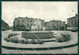 Pavia Casteggio Foto FG Cartolina ZK1281 - Pavia