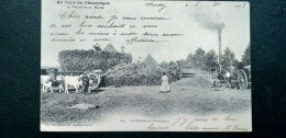 51 , Vallée De  La Marne , La Moisson En Champagne En 1903.........beau Plan - Other & Unclassified