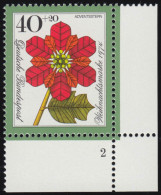 824 Weihnachten 40+20 Pf Weihnachtsstern ** FN2 - Unused Stamps