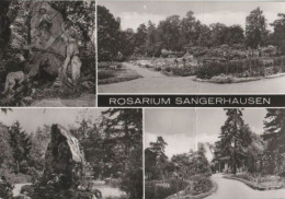 52325 - Sangerhausen - Rosarium - 1984 - Sangerhausen